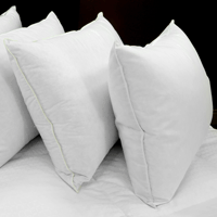 Down dreams classic jumbo pillow discount